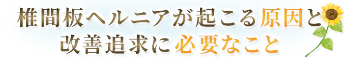 椎間板ヘルニアが起こる原因と改善追求に必要なこと
